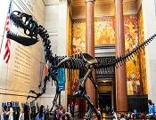 Best NYC Museums for Children